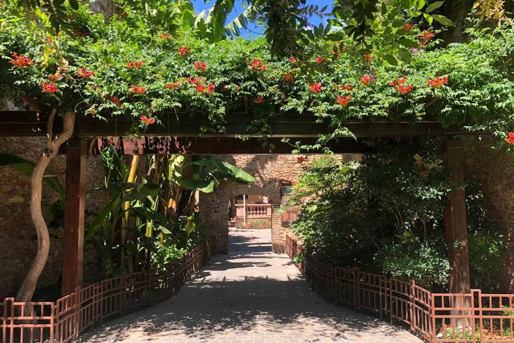 Carrer Del Sol Villa Sainte-Marie-la-Mer Exterior foto